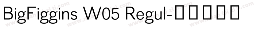 BigFiggins W05 Regul字体转换